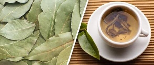 Treatment of arthrosis with laurel leaf