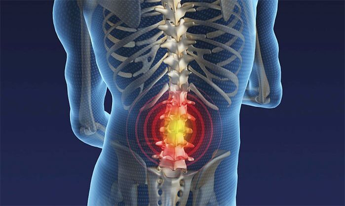 pain in the lower back